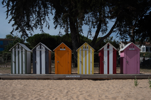 Lutte contre les nuisibles La Seyne-sur-Mer